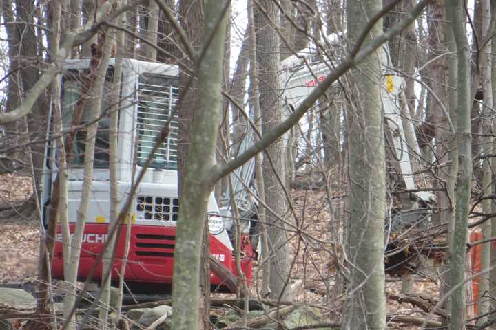 Greenburgh Is About To Lose Some Greenery Due To New Home Construction