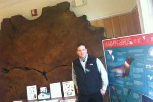 Greenwich Audubon Serves Up Birds And Bagels On Sunday