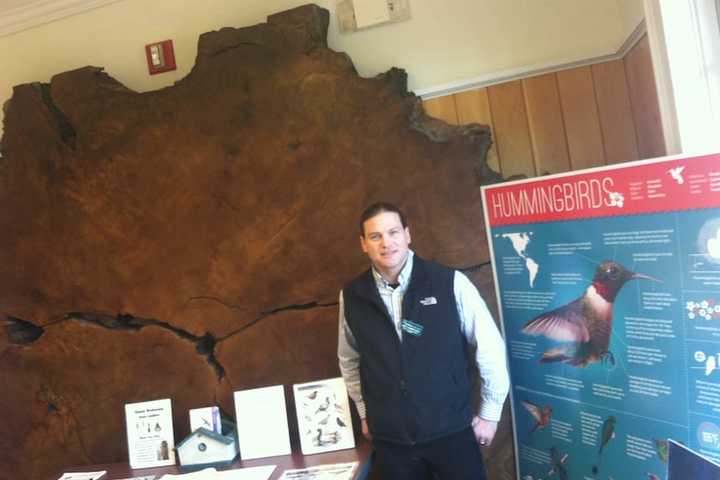 Greenwich Audubon Serves Up Birds And Bagels On Sunday
