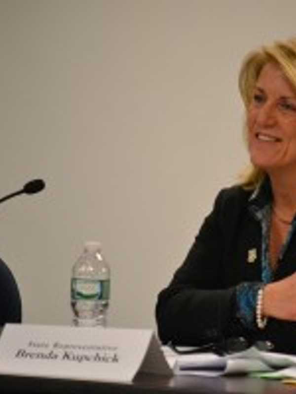 Fairfield Lawmakers Hear From Voters At Town Hall Meeting