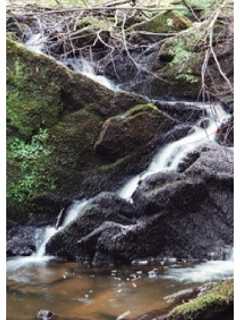 Internships In Ecology, Land Management Offered In Bedford