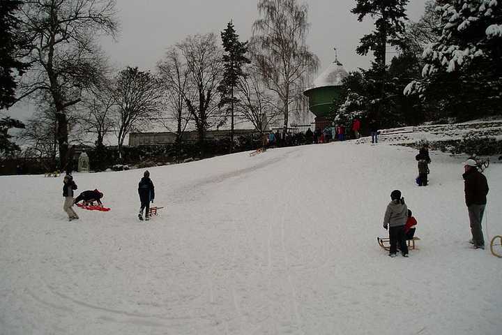 Maria Fareri Children's Hospital Provides Sledding Safety Pointers