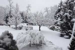 What's Your Driveway Look Like? Ossining Resident Shares A Photo Of Hers