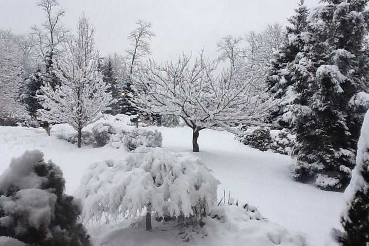What's Your Driveway Look Like? Ossining Resident Shares A Photo Of Hers