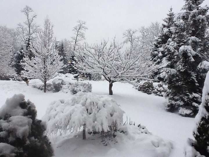 The view from Maria De Gorostiza&#x27;s driveway.