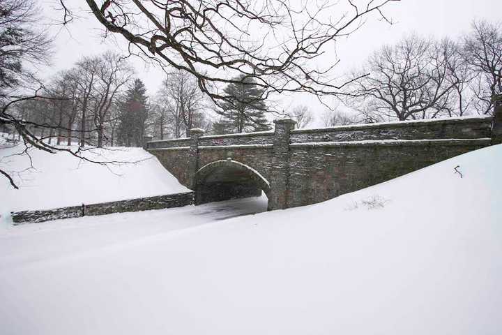 Bridgeport Reader Shares Photos Of A Winter Wonderland