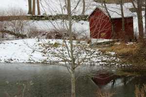 Mount Kisco Resident Shares Photos From Snowstorm