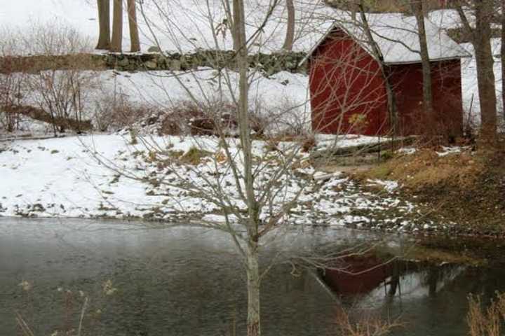 Mount Kisco Resident Shares Photos From Snowstorm