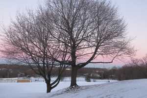 Child Suffers Head Injury While Sledding In Central Jersey: Developing