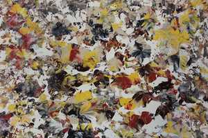 Stamford's Loft Artists Association Opens Nature Exhibit