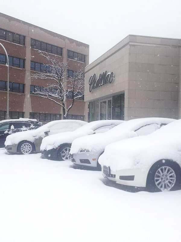 Hate Driving In Snow? Pepe Auto Group In White Plains Can Steer You Right