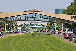 Stamford Resident Named to Hofstra University Fall Dean's List