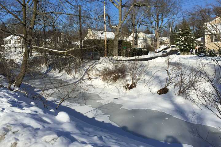 Did Someone Say 'Frozen?' Larchmont's Brook Is Ice Cold