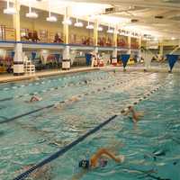 <p>The swim team hits the pool. </p>