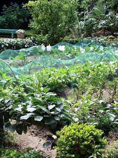 Ridgefield's Founders Hall Presents Gardening Seminar