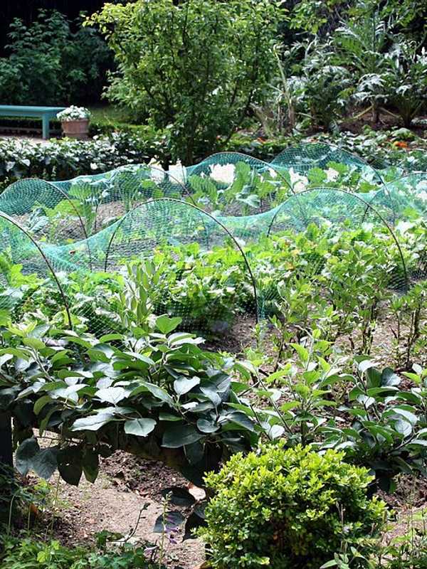 Ridgefield's Founders Hall Presents Gardening Seminar