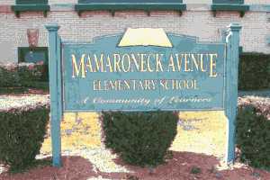 School-Based Health Clinic Divisive Issue In Mamaroneck