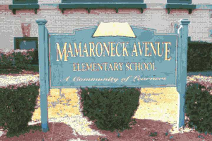 School-Based Health Clinic Divisive Issue In Mamaroneck
