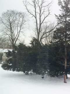 Saturday Storm Could Bring Up To 4 Inches Of Snow To Armonk