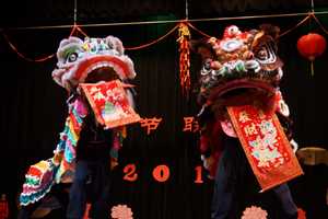 White Plains Involved In Chinese New Year Celebrations