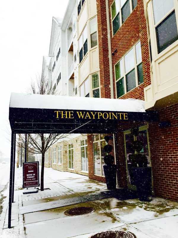 Purim Celebration Planned For Young Jewish Professionals In Norwalk
