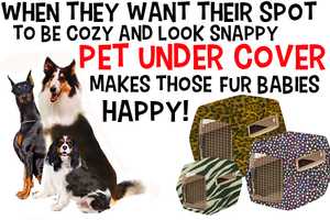 Bedford Woman's Business Keeps Pets Under Cover