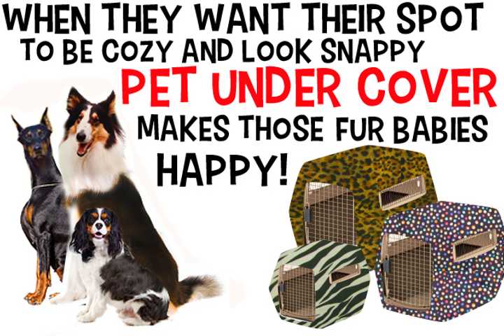 Bedford Woman's Business Keeps Pets Under Cover