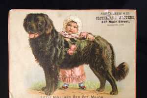 Bridgeport's Barnum Museum Honors Animals In Spring Series