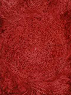 Patterson's Front Street Gallery Goes Red In New Exhibit 