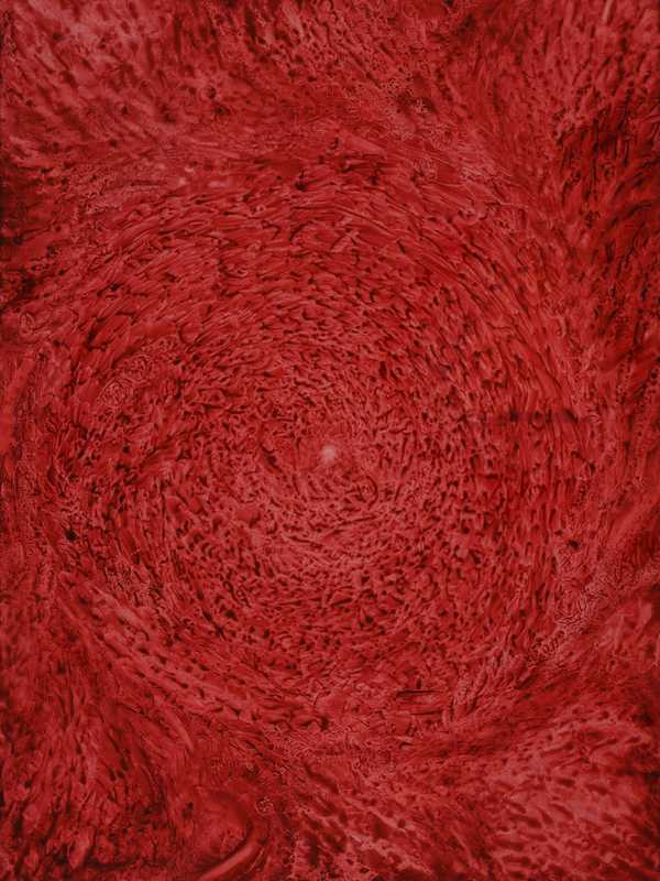 Patterson's Front Street Gallery Goes Red In New Exhibit 