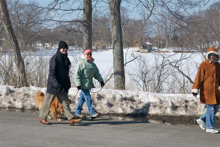 Coldest Month On Record Freezes The Landscape At Greenwich Point Park
