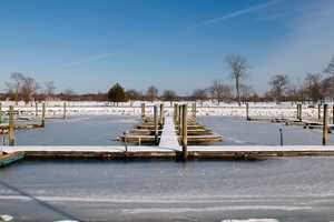 Coldest Month On Record Freezes The Landscape At Stamford's Cove Island