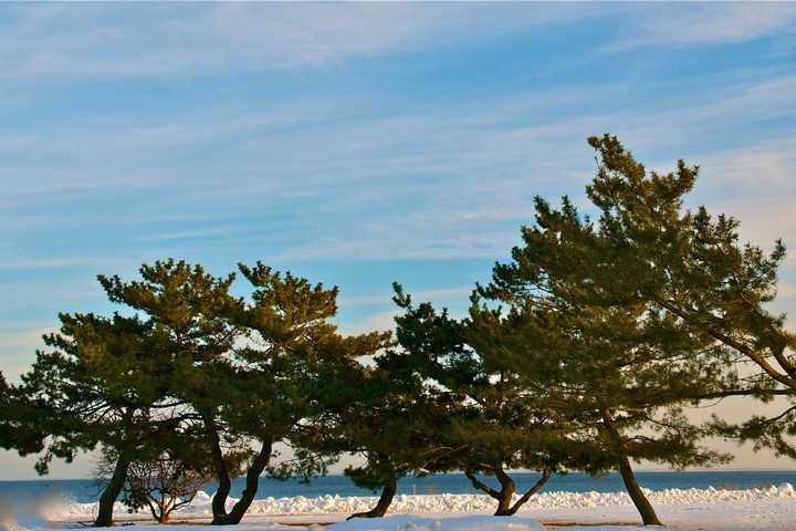 Coldest Month On Record In Westport Freezes Sherwood Island's Landscape 
