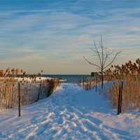 <p>Footprints show that visitors have been at Sherwood Island State Park despite the cold temperatures and snow. </p>