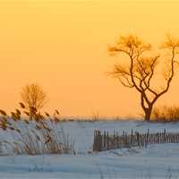 <p>Sunset at Sherwood Island </p>