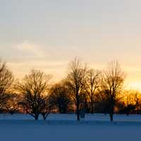 <p>Sunset at Sherwood Island </p>