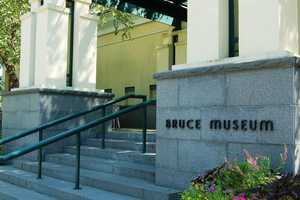 Greenwich's Bruce Museum Celebrates Giving Day