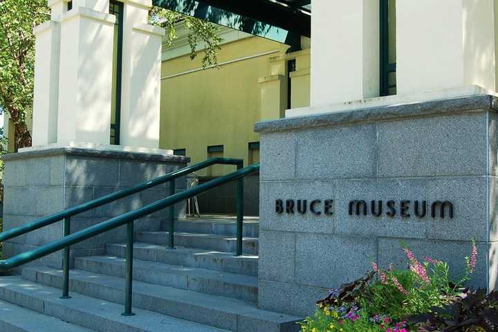 Greenwich's Bruce Museum Celebrates Giving Day