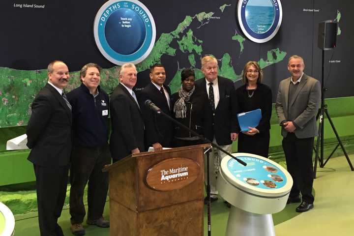 Norwalk Launches Summer Program For Students At Aquarium
