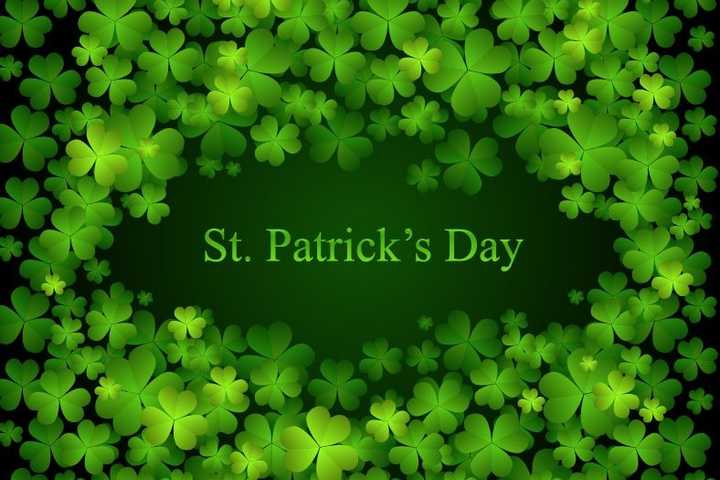 Mount Vernon Chamber Celebrates St. Patrick's Day With Networking Party