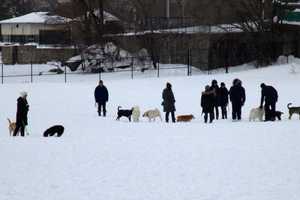 Latest Winter Storms Leave Lasting Impressions At Rye Beach, Read Sanctuary