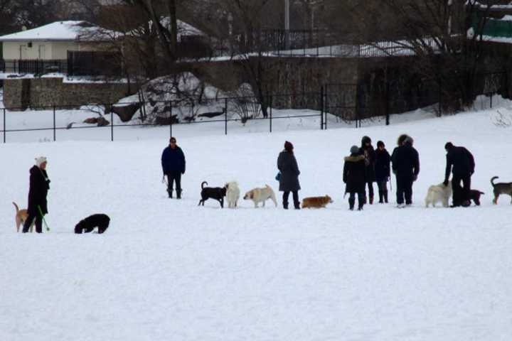 Latest Winter Storms Leave Lasting Impressions At Rye Beach, Read Sanctuary