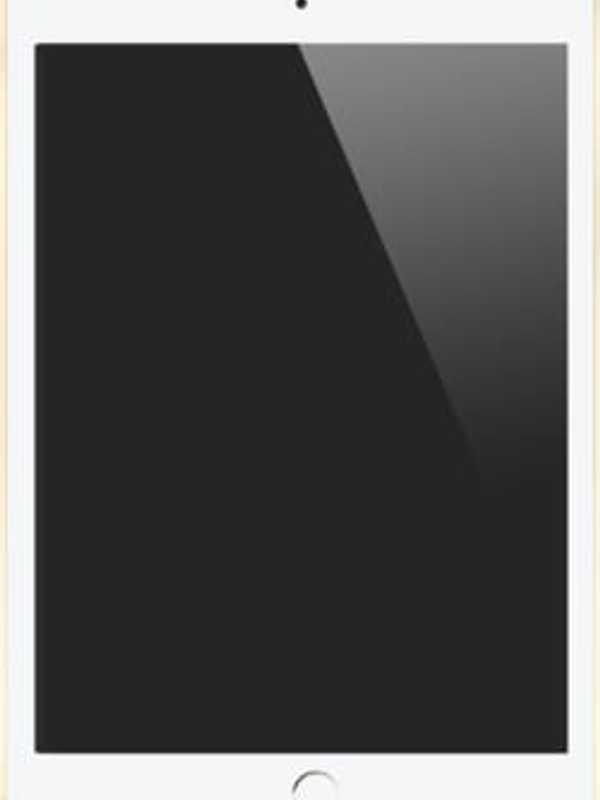 Apple Tells Suppliers To Delay Building Bigger iPad Till Fall