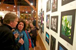Darien Tree Conservancy Hosts Photo Contest Reception