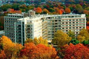The Watermark In Bridgeport Hosts Parkinsons Support Group 
