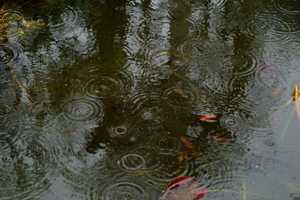 Rain Will Move Into Fairfield Tuesday