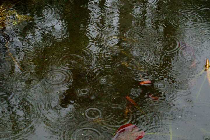 Rain Will Move Into Fairfield Tuesday