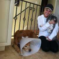 <p>Kerie Boshka of Red Fox Road holds Kipp, her Shih Tzu while Lexie, her golden retriever lies on the floor recovering from a coyote attack last week. Lexie fought off the coyote that had tried to get at the smaller Kipp. </p>