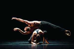 Plan Now For ARTSEE Events In White Plains