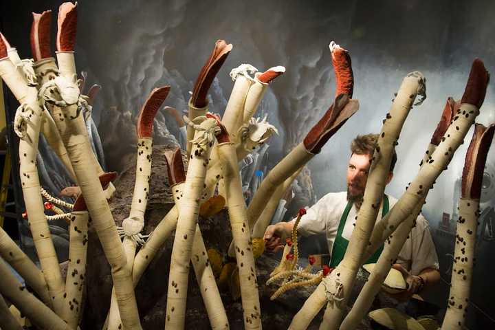 Greenwich's Bruce Museum Introduces Permanent Deep Sea Exhibit